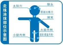 涂抹部位示意图 涂抹部位示意图